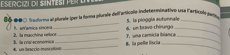 ESERCIZI DI SINTEST PER LIV 
_ 
86 ●●0 Trasforma al plurale (per la forma plurale dell’articolo indeterminativo usa l'articolo partitin 
5. la pioggia autunnale_ 
_ 
1. un’amica sincera 6. un bravo chirurgo_ 
_ 
2. la macchina veloce 
7. una camicia bianca_ 
3. la crisi economica 
4. un braccio muscoloso _8. la pelle liscia_