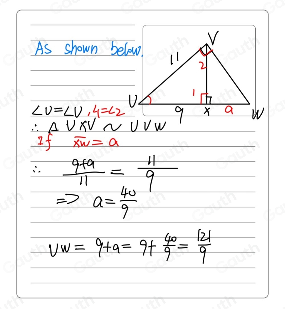 As shown below.
∠ U=∠ U, ∠ 1=∠ 2
∴ △ VXVsim
If overline XW=a.  (9+9)/11 = 11/9 
Rightarrow a= 40/9 
vw=9+a=9+ 40/9 = 121/9 