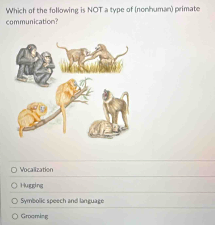 Which of the following is NOT a type of (nonhuman) primate
communication?
Vocalization
Hugging
Symbolic speech and language
Grooming