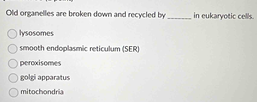 Old organelles are broken down and recycled by_ in eukaryotic cells.
lysosomes
smooth endoplasmic reticulum (SER)
peroxisomes
golgi apparatus
mitochondria