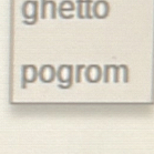 gnetto 
pogrom