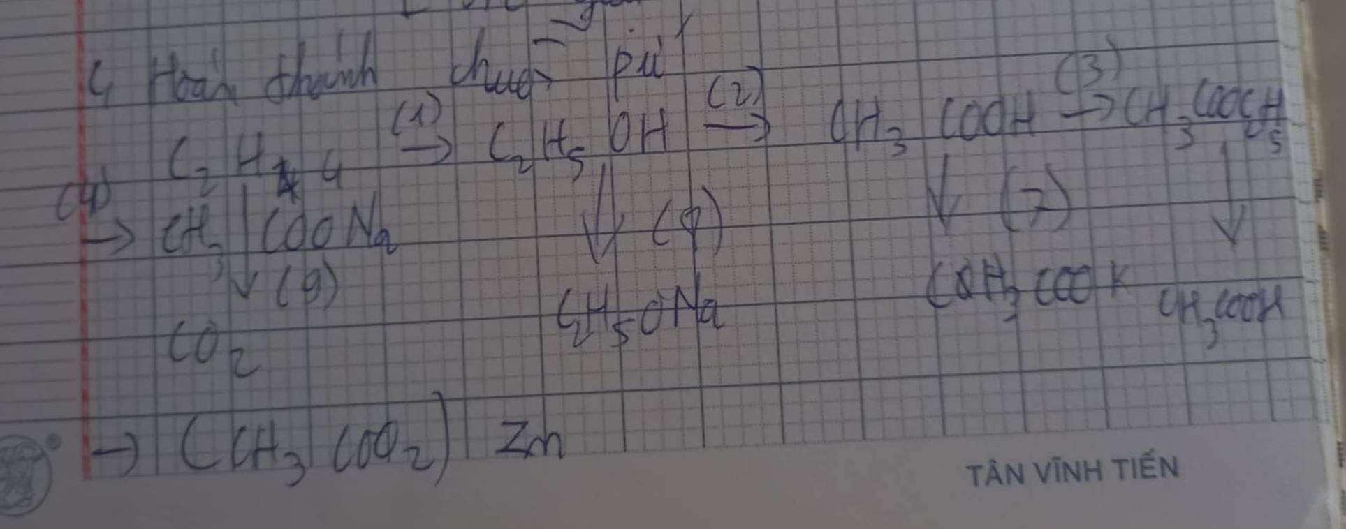 Hal thach chud pu 
(2) CH_3COOH 83° CH_3COOCH_5
C_2xrightarrow H4
(1) C_2H_5 OHto
CH_3COONa
(1,(9)
V(7)
V(g)
CO_2
CH_5ONa
COH_3COOHCH_3COOH
(CH_3COO_2) 1zm