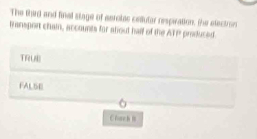 The third and final stage of aerobic cellutar respiration, the electron
transport chain, accounts for about half of the ATP produced
TRUII
FALSE
Clach B