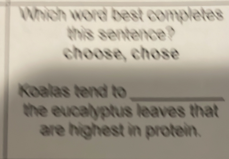 Which word best completes 
this sentence? 
choose, chose 
Koalas tend to_ 
the eucalyptus leaves that 
are highest in protein.