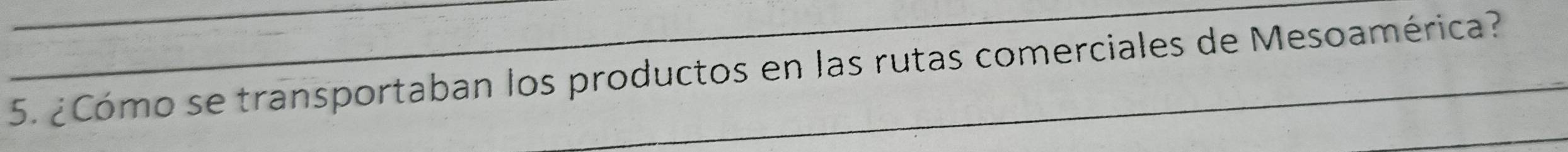 ¿Cómo se transportaban los productos en las rutas comerciales de Mesoamérica? 
_