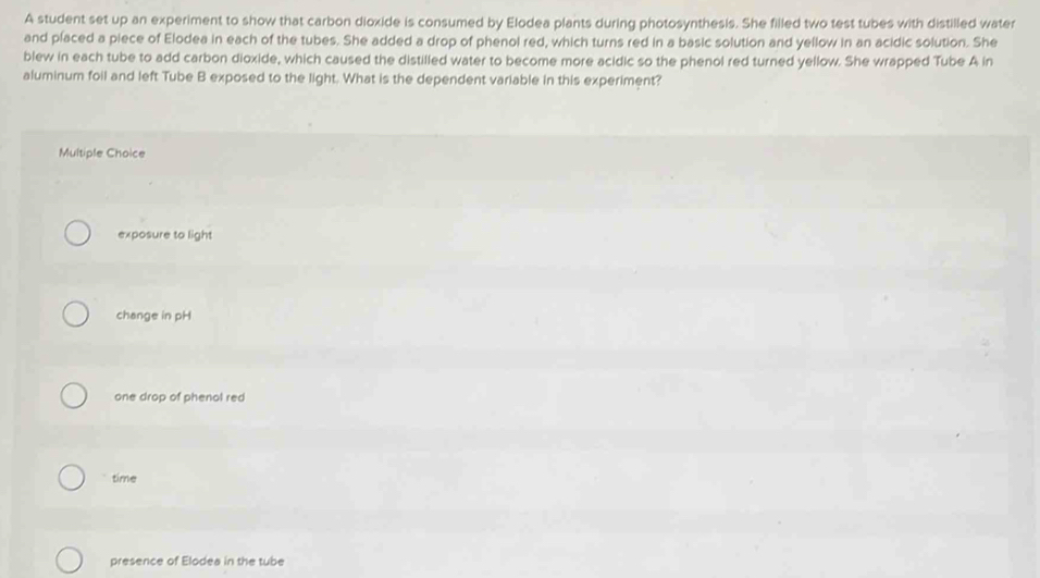 A student set up an experiment to show that carbon dioxide is consumed by Elodea plants during photosynthesis. She filled two test tubes with distilled water
and placed a piece of Elodea in each of the tubes. She added a drop of phenol red, which turns red in a basic solution and yellow in an acidic solution. She
blew in each tube to add carbon dioxide, which caused the distilled water to become more acidic so the phenol red turned yellow. She wrapped Tube A in
aluminum foil and left Tube B exposed to the light. What is the dependent variable in this experiment?
Multiple Choice
exposure to light
change in pH
one drop of phenol red
time
presence of Elodea in the tube