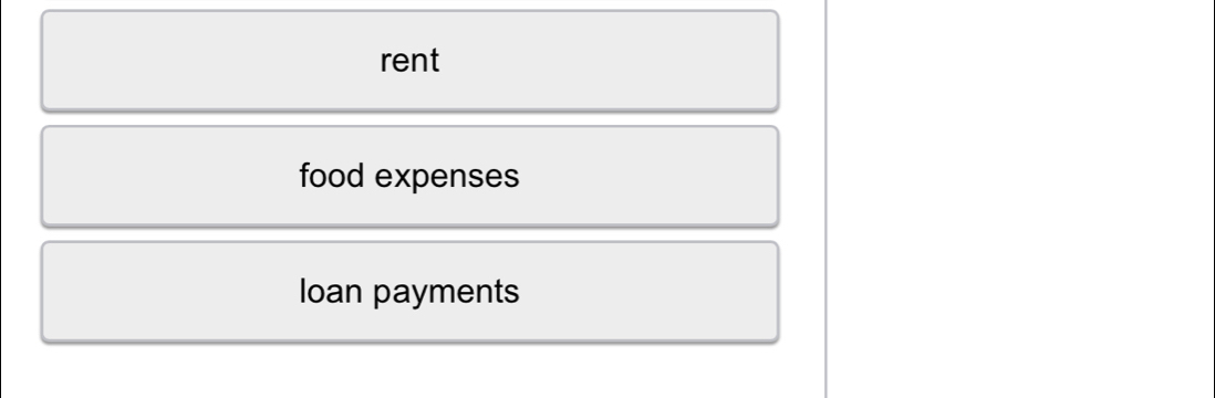 rent
food expenses
loan payments