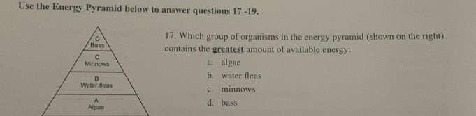 Use the Energy Pyramid below to answer questions 17 -19.
17. Which group of organisms in the energy pyramid (shown on the right)
contains the greatest amount of available energy:
a. algae
b. water fleas
c. minnows
d. bass