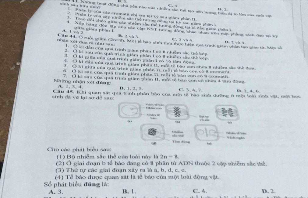 B. 3. C. 4
D. 2.
# 43. Những hoạt động chủ yếu nào của nhiễm sắc thể tạo nên lượng biển dị to lớn của sinh vật
sinh sản hữu tính? 1. Phân ly của các cromatit chị em tại kỳ sau giảm phân II.
2. Phân ly của cặp nhiễm sắc thể tương đồng tại kỳ sau giám phân 1.
3. Trao đổi chéo giữa các nhiễm sắc thể tương đồng tại kì đầu giám phân I.
4. Xếp hàng độc lập của các cặp NST tương đồng khác nhau trên mặt phẳng xích đạo tại kỳ
giữa giảm phân I.
A. 1 và 2.
B. 2 và 3. C. 3 và 4. D. 2 và 4.
Câu 44. Ở ruồi giấm (2n-8) 1. Một tế bào sinh tinh thực hiện quá trình giảm phân tạo giao tử. Một số
nhận xét đưa ra như sau:
1. Ở kì đầu của quá trình giảm phân I có 8 nhiễm sắc thể kép,
2. Ở kỉ sau của quá trình giảm phân I có 8 nhiễm sắc thể kép.
3. Ở kỉ giữa của quá trình giảm phân I có 16 tâm động.
4. Ở kì đầu của quá trình giảm phân II, mỗi tế bào con chứa 8 nhiễm sắc thể đơn
5. Ở kì giữa của quá trình giảm phân II, mỗi tế bảo con có 8 cromatit.
6. Ở kì sau của quá trình giảm phân II, mỗi tế bào con có 8 cromatit.
7. Ở kì sau của quá trình giảm phân II, mỗi tế bào con có chữa 4 tâm động
Những nhận xét đúng:
A. 1, 3, 4. B. 1, 2, 5. C.3、 4, 7. D. 2, 4, 6.
Câu 45. Khi quan sát quá trình phân bào của một tế bào sinh dưỡng ở một loài sinh vật, một học
sinh đã vẽ lại sơ đồ sau:
Vách tế bào
Nhân con
Nhân tế
bào
Sol to
(a) (b) vò she (e)
Nhiễm Nhân tế bào
sắc thể Vách ngân
Tâm động
(d) (e)
Cho các phát biểu sau:
(1) Bộ nhiễm sắc thể của loài này là 2n=8.
(2) Ở giai đoạn b tế bào đang có 8 phân tử ADN thuộc 2 cặp nhiễm sắc thể.
(3) Thứ tự các giai đoạn xảy ra là a, b, d, c, e.
(4) Tế bào được quan sát là tế bào của một loài động vật.
Số phát biểu đúng là:
A. 3. B. 1. C. 4. D. 2.