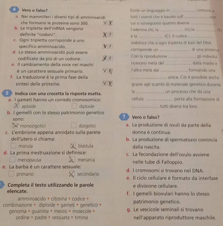 Vero o falso? Esiste un linguaggio in _comune a
a. Nei mammiferi i diversi tipi di amminoacidi tutti i viventi che e basato sull '_ con
che formano le proteine sono 300. _cui si susseguono quattro diverse_
b. Le triplette dell’mRNA vengono l'adenina (A), la _(G),la _(1)
definite "codoni". F e la_ (C). Il codice_
c. Ogni tripletta corrisponde a uno stabilisce che a ogni tripletta di basi del DNA
specifico amminoacido. F _di una proteina.
corrisponde un
d. Lo stesso amminoacido può essere Con la riproduzione _gli individui
codificato da più di un codone.
e. Il cambiamento della voce nei maschi ricevono metà del _dalla madre e
è un carattere sessuale primario. l'altra metà dal _formando una
f. La traduzione è la prima fase della _unica. Ciô é possibile anche
sintesi delle proteine. grazie agli scambi di materiale genetico durante
la
5  Indica con una crocetta la risposta esatta. _un processo che da una
a. I gameti hanno un corredo cromosomico: cellula _porta alla formazione di
aploide diploide _tutti diversi tra loro.
b. I gemelli con lo stesso patrimonio genetico 7》 Vero o falso?
sono:
monozigotici dizigotici a. La produzione di ovuli da parte della
c. L’embrione appena annidato sulla parete donna è continua.
dell’utero si chiama: b. La produzione di spermatozoi comincia
morula blastula dalla nascita.
d. La prima mestruazione si definisce: c. La fecondazione dell’ovulo avviene
menopausa menarca nelle tube di Falloppio.
e. La barba è un carattere sessuale: d. I cromosomi si trovano nel DNA.
primario secondario
e. Il ciclo cellulare è formato da interfase
Completa il testo utilizzando le parole e divisione cellulare.
elencate. f. I gemelli biovulari hanno lo stesso
amminoacido * citosina # codice 
patrimonio genetico.
combinazione # diploide = gameti = genetico 
genoma * guanina # meiosi * molecole g. Le vescicole seminali si trovano
ordine = padre = sessuata = timina nell’apparato riproduttore maschile.