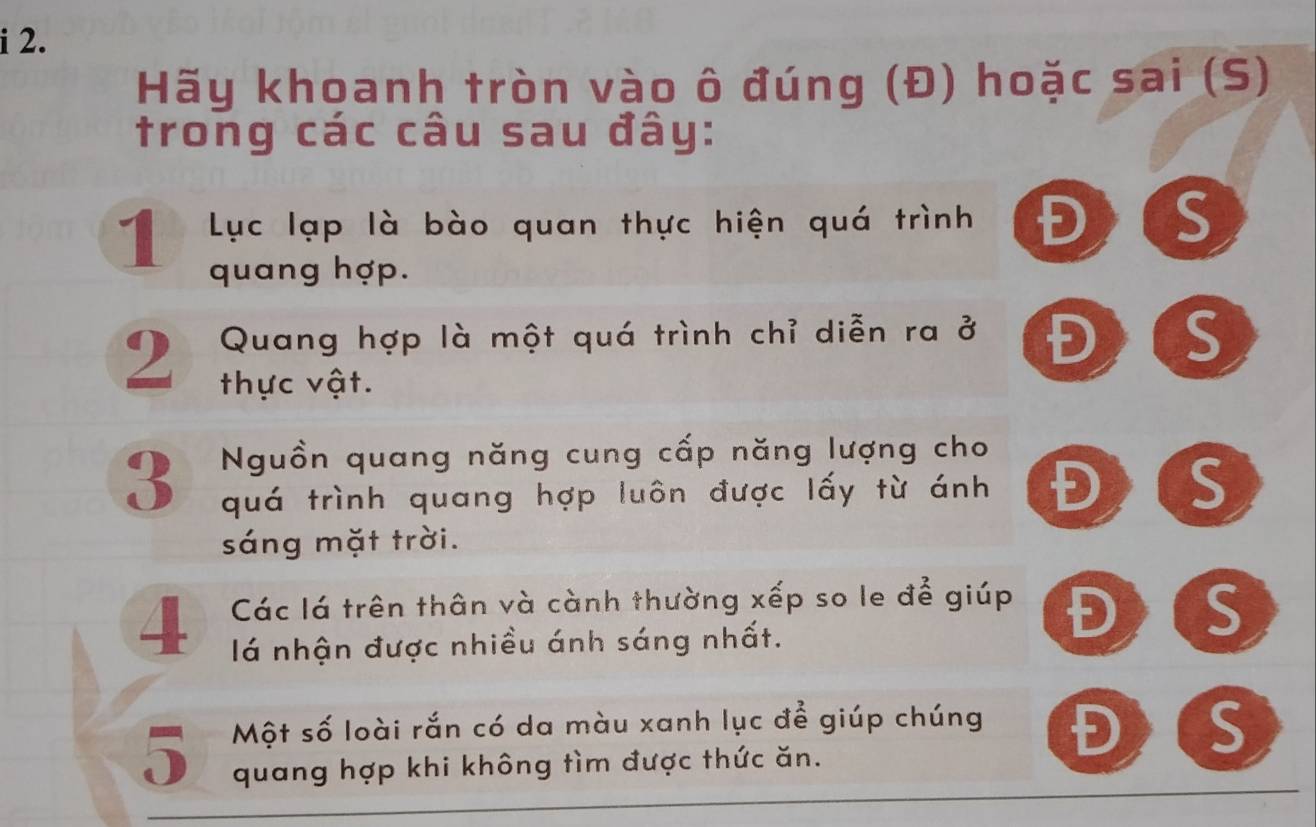 Hãy khoanh tròn vào ô đúng (Đ) hoặc sai (S) 
trong các câu sau đây: 
1 Lục lạp là bào quan thực hiện quá trình Đ S 
quang hợp. 
Quang hợp là một quá trình chỉ diễn ra ở Đ S 
2 thực vật. 
Nguồn quang năng cung cấp năng lượng cho
3 quá trình quang hợp luôn được lấy từ ánh Đ S 
sáng mặt trời. 
4 . Các lá trên thân và cành thường xếp so le để giúp Đ S 
lá nhận được nhiều ánh sáng nhất. 
5 Một số loài rắn có da màu xanh lục để giúp chúng Đ S 
quang hợp khi không tìm được thức ăn.