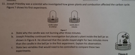 Joseph Priestley was a scientist who investigated how green plants and combustion affected the carbon cycle. 
Figure 7 shows his first experiment 
candle sealed in a bell jar candle after !
minutes
a. State why the candle was not burning after three minutes. Figure ? 
b. Joseph Priestley continued the investigation but placed a plant inside the bell jar as 
shown in Figure 8. He observed that the candle stayed alight for two minutes more 
than the candle in the bell jar in the first experiment. Explain his observation. 
c. State two variables that would need to be controlled to compare these two 
experiments. Figure 8