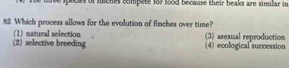 The three species of fnches compete for food because their beaks are similar in
82 Which process allows for the evolution of finches over time?
(1) natural selection (3) asexual reproduction
(2) selective breeding (4) ecological succession