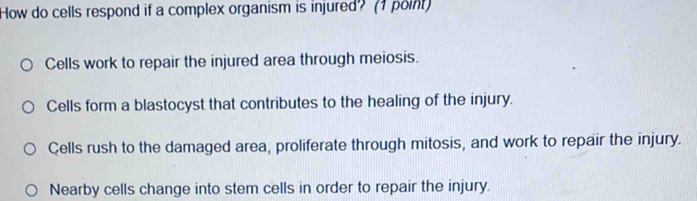 How do cells respond if a complex organism is injured? (1 point)
Cells work to repair the injured area through meiosis.
Cells form a blastocyst that contributes to the healing of the injury.
Çells rush to the damaged area, proliferate through mitosis, and work to repair the injury.
Nearby cells change into stem cells in order to repair the injury.