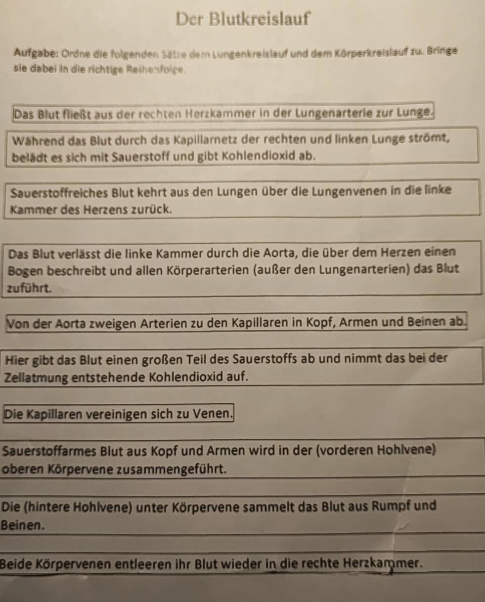 Der Blutkreislauf 
Aufgabe: Ordne die folgenden Sätze dem Lungenkreislauf und dem Körperkreislauf zu. Bringe 
sie dabei in die richtige Reihenfoice. 
Das Blut fließt aus der rechten Herzkammer in der Lungenarterie zur Lunge. 
Während das Blut durch das Kapillarnetz der rechten und linken Lunge strömt, 
belädt es sich mit Sauerstoff und gibt Kohlendioxid ab. 
Sauerstoffreiches Blut kehrt aus den Lungen über die Lungenvenen in die linke 
Kammer des Herzens zurück. 
Das Blut verlässt die linke Kammer durch die Aorta, die über dem Herzen einen 
Bogen beschreibt und allen Körperarterien (außer den Lungenarterien) das Blut 
zuführt. 
Von der Aorta zweigen Arterien zu den Kapillaren in Kopf, Armen und Beinen ab. 
Hier gibt das Blut einen großen Teil des Sauerstoffs ab und nimmt das bei der 
Zellatmung entstehende Kohlendioxid auf. 
Die Kapillaren vereinigen sich zu Venen. 
Sauerstoffarmes Blut aus Kopf und Armen wird in der (vorderen Hohlvene) 
oberen Körpervene zusammengeführt. 
Die (hintere Hohlvene) unter Körpervene sammelt das Blut aus Rumpf und 
Beinen. 
Beide Körpervenen entleeren ihr Blut wieder in die rechte Herzkammer.