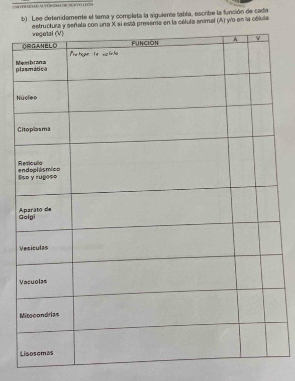 UNiVeRSIDAD AUTÓNOMA dE NUEVO LEÓN 
b) Lee detenidamente el tema y completa la siguiente tabla, escribe la función de cada 
n la célula animal (A) y/o en la célula
M
p 
N 
C 
e 
l