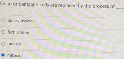 Dead or damaged cells are replaced by the process of_
binary fission
fertilization
meiosis
mitosis