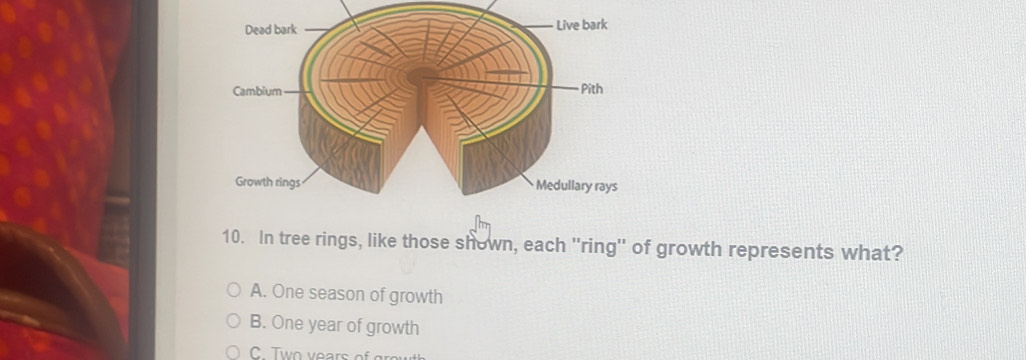 Solved: In tree rings, like those shown, each ''ring'' of growth ...