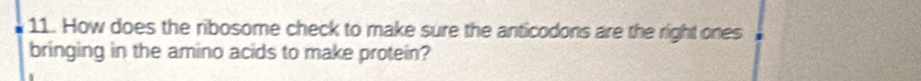 How does the ribosome check to make sure the anticodons are the right ones 
bringing in the amino acids to make protein?