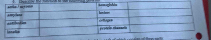 Describe the functon of the tonowing protls 
_