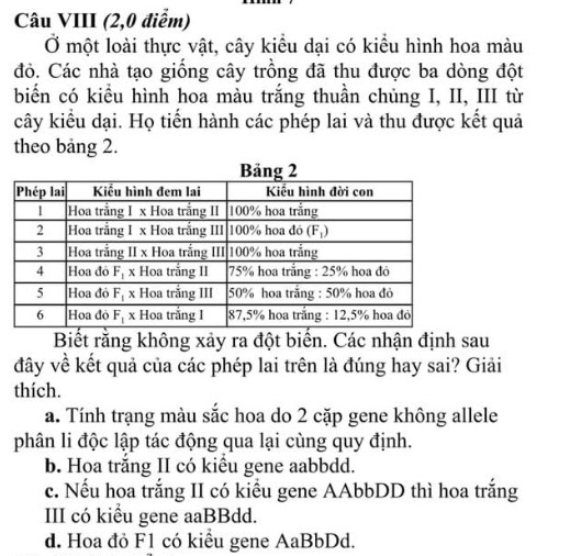 Câu VIII (2,0 điểm)
Ở một loài thực vật, cây kiểu dại có kiểu hình hoa màu
đỏ. Các nhà tạo giống cây trồng đã thu được ba dòng đột
biển có kiểu hình hoa màu trắng thuần chủng I, II, III từ
cây kiểu dại. Họ tiến hành các phép lai và thu được kết quả
theo bảng 2.
Biết rằng không xảy ra đột biển. Các nhận định sau
đây về kết quả của các phép lai trên là đúng hay sai? Giải
thích.
a. Tính trạng màu sắc hoa do 2 cặp gene không allele
phân li độc lập tác động qua lại cùng quy định.
b. Hoa trắng II có kiều gene aabbdd.
c. Nếu hoa trắng II có kiểu gene AAbbDD thì hoa trắng
III có kiểu gene aaBBdd.
d. Hoa đỏ F1 có kiểu gene AaBbDd.