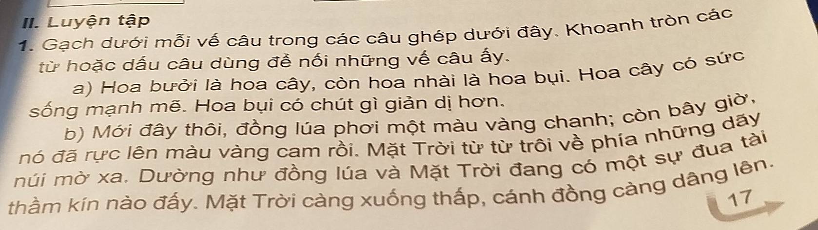 Luyện tập 
1. Gạch dưới mỗi vế câu trong các câu ghép dưới đây. Khoanh tròn các 
từ hoặc dấu câu dùng để nối những vế câu ấy. 
a) Hoa bưởi là hoa cây, còn hoa nhài là hoa bụi. Hoa cây có sức 
sống mạnh mẽ. Hoa bụi có chút gì giản dị hơn. 
b) Mới đây thôi, đồng lúa phơi một màu vàng chanh; còn bây giờ, 
nó đã rực lên màu vàng cam rồi. Mặt Trời từ từ trôi về phía những dãy 
múi mờ xa. Dường như đồng lúa và Mặt Trời đang có một sự đua tài 
thầm kín nào đấy. Mặt Trời càng xuống thấp, cánh đồng càng dâng lên. 
17