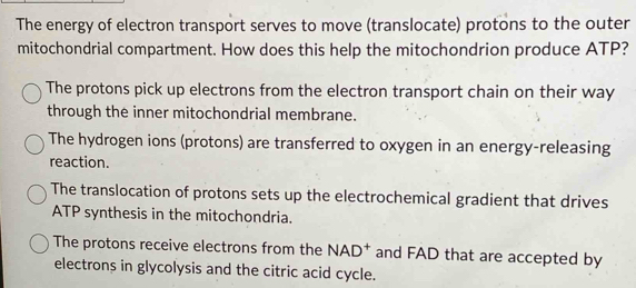 The energy of electron transport serves to move (translocate) protons to the outer
mitochondrial compartment. How does this help the mitochondrion produce ATP?
The protons pick up electrons from the electron transport chain on their way
through the inner mitochondrial membrane.
The hydrogen ions (protons) are transferred to oxygen in an energy-releasing
reaction.
The translocation of protons sets up the electrochemical gradient that drives
ATP synthesis in the mitochondria.
The protons receive electrons from the NAD^+ and FAD that are accepted by
electrons in glycolysis and the citric acid cycle.