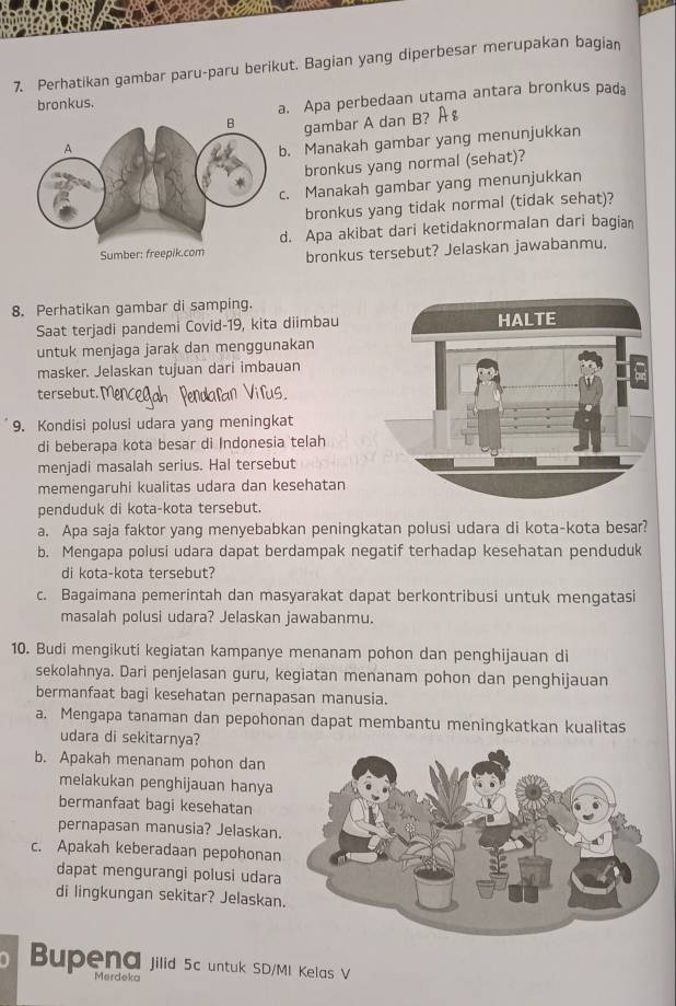 Perhatikan gambar paru-paru berikut. Bagian yang diperbesar merupakan bagian
bronkus.
a. Apa perbedaan utama antara bronkus pada
gambar A dan B? A
. Manakah gambar yang menunjukkan
bronkus yang normal (sehat)?
. Manakah gambar yang menunjukkan
bronkus yang tidak normal (tidak sehat)?
. Apa akibat dari ketidaknormalan dari bagian
bronkus tersebut? Jelaskan jawabanmu.
8. Perhatikan gambar di samping.
Saat terjadi pandemi Covid-19, kita diimbau
untuk menjaga jarak dan menggunakan
masker. Jelaskan tujuan dari imbauan
tersebut.
9. Kondisi polusi udara yang meningkat
di beberapa kota besar di Indonesia telah
menjadi masalah serius. Hal tersebut
memengaruhi kualitas udara dan kesehatan
penduduk di kota-kota tersebut.
a. Apa saja faktor yang menyebabkan peningkatan polusi udara di kota-kota besar?
b. Mengapa polusi udara dapat berdampak negatif terhadap kesehatan penduduk
di kota-kota tersebut?
c. Bagaimana pemerintah dan masyarakat dapat berkontribusi untuk mengatasi
masalah polusi udara? Jelaskan jawabanmu.
10. Budi mengikuti kegiatan kampanye menanam pohon dan penghijauan di
sekolahnya. Dari penjelasan guru, kegiatan menanam pohon dan penghijauan
bermanfaat bagi kesehatan pernapasan manusia.
a. Mengapa tanaman dan pepohonan dapat membantu meningkatkan kualitas
udara di sekitarnya?
b. Apakah menanam pohon dan
melakukan penghijauan hanya
bermanfaat bagi kesehatan
pernapasan manusia? Jelaskan
c. Apakah keberadaan pepohonan
dapat mengurangi polusi udara
di lingkungan sekitar? Jelaskan
Bupena jilid 5c untuk SD/MI Kelas V
Merdeka