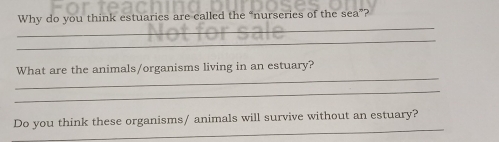 Why do you think estuaries are called the “nurseries of the sea”? 
_ 
_ 
_ 
_ 
What are the animals/organisms living in an estuary? 
_ 
_ 
Do you think these organisms/ animals will survive without an estuary?