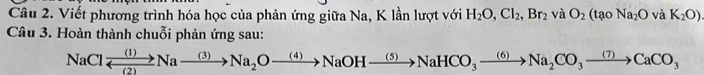 Viết phương trình hóa học của phản ứng giữa Na, K lần lượt với H_2O, Cl_2, Br_2 và O_2(taoNa_2O và K_2O)
Câu 3. Hoàn thành chuỗi phản ứng sau:
NaCl xrightarrow (1)Nato Na_2Oxrightarrow (4)NaOHxrightarrow (5)NaHCO_3to NaOHxrightarrow (5)NaHCO_3to CaCO_3