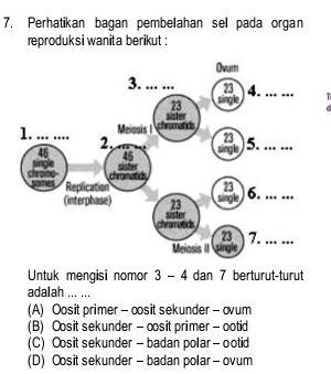 Perhatikan bagan pembelahan sel pada organ
reproduksi wanita berikut :
Untuk mengisi nomor 3 - 4 dan 7 berturut-turut
adalah ... ...
(A) Oosit primer - oosit sekunder - ovum
(B) Oosit sekunder - osit primer - ootid
(C) Oosit sekunder - badan polar - ootid
(D) Oosit sekunder - badan polar - ovum