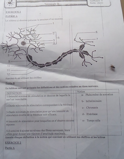 Terminale D Durée : 25min
initions et des notions relative au tissu nerveux. 
Associe cha 
EXERCICE 2 
Partie A