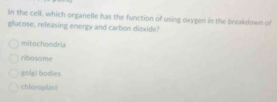 In the cell, which organelle has the function of using oxygen in the breakdown of
glucose, releasing energy and carbon dioxide?
mitochondria
ribosome
golgi bodies
chloroplast