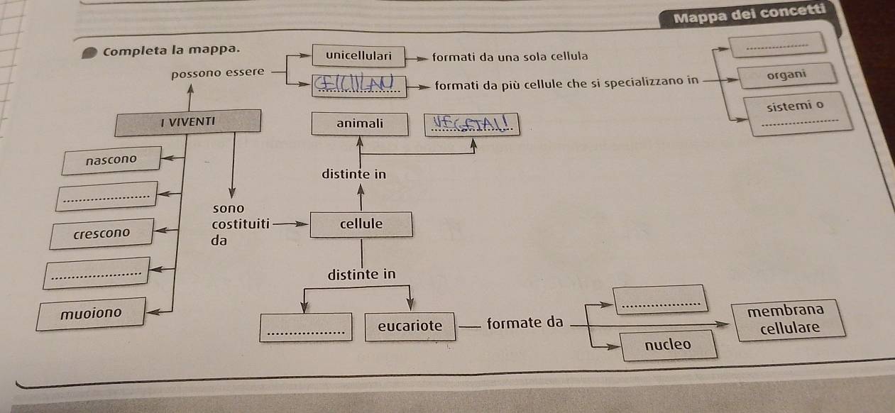 Mappa dei concetti 
_ 
Completa la mappa. unicellulari formati da una sola cellula 
possono essere 
formati da più cellule che si specializzano in organi 
sistemi o 
I VIVENTI animali_ 
_ 
nascono 
distinte in 
_ 
sono 
costituiti 
crescono cellule 
da 
_ 
distinte in 
muoiono _membrana 
_ 
eucariote _formate da 
cellulare 
nucleo