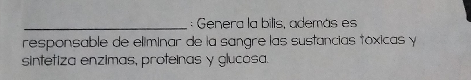 Genera la bilis, además es 
responsable de eliminar de la sangre las sustancias tóxicas y 
sintetiza enzimas, proteínas y glucosa.