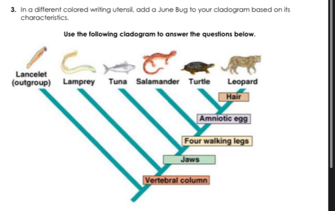 Solved: In a different colored writing utensil, add a June Bug to your ...