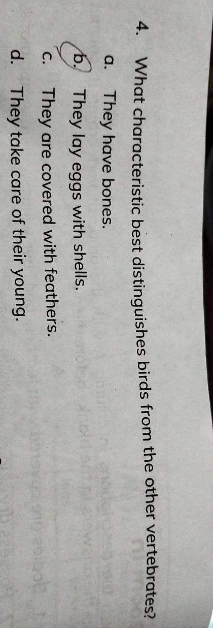 What characteristic best distinguishes birds from the other vertebrates?
a. They have bones.
b. They lay eggs with shells.
c. They are covered with feathers.
d. They take care of their young.