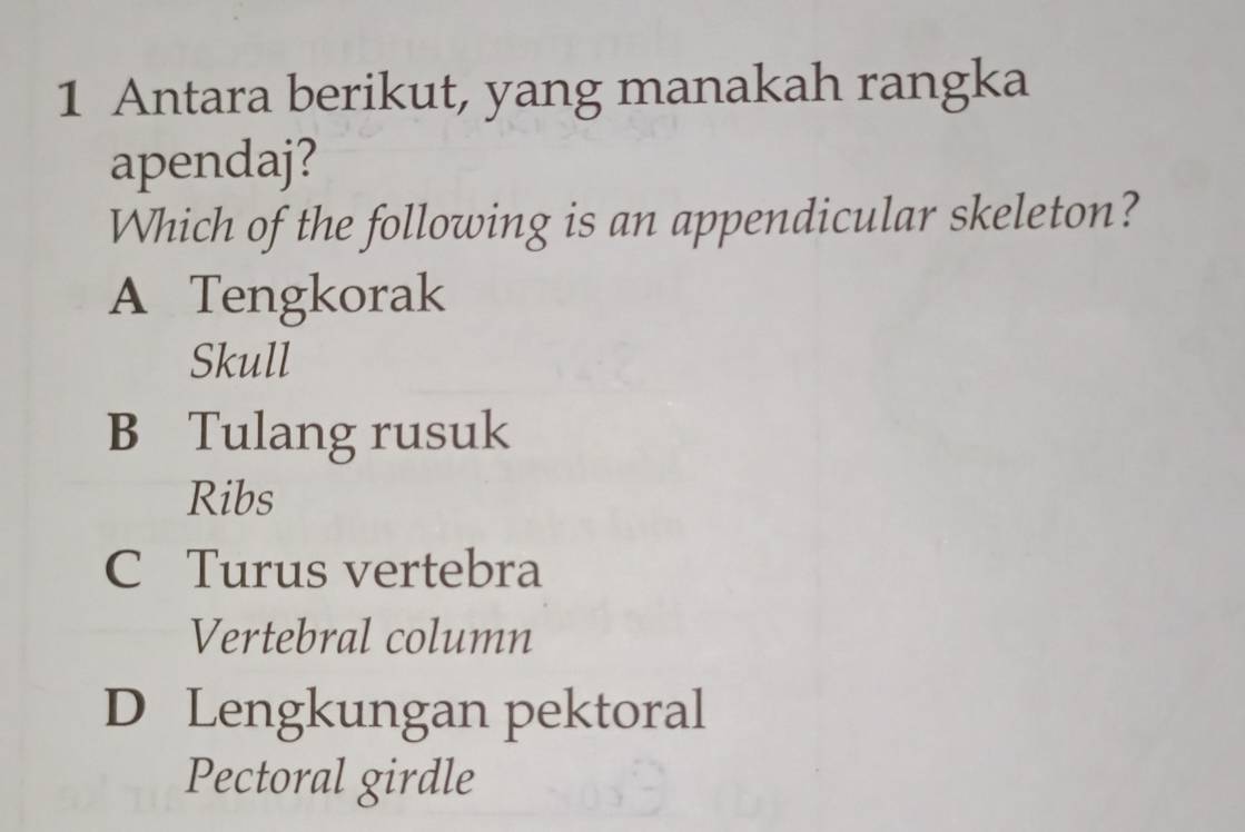 Antara berikut, yang manakah rangka
apendaj?
Which of the following is an appendicular skeleton?
A Tengkorak
Skull
B Tulang rusuk
Ribs
C Turus vertebra
Vertebral column
D Lengkungan pektoral
Pectoral girdle