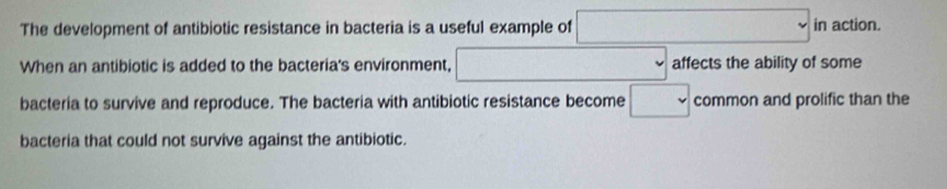 The development of antibiotic resistance in bacteria is a useful example of □ in action. 
When an antibiotic is added to the bacteria's environment, □ affects the ability of some 
bacteria to survive and reproduce. The bacteria with antibiotic resistance become □ common and prolific than the 
bacteria that could not survive against the antibiotic.