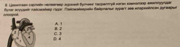 Цаахнлгавн сарлнен нелевгеер зуркнеыί булньнг тасраπттуй ногзн хамнагзар акиллууπдаг
anoopoit. булаг асγудκάε πайсмαήκеρ гадаг. Πайсмαйκеριан δαάρηалωг зурагт зθв илархиίлсан дуτаарыг
A. 1
C. 3 B. 2
D. 4