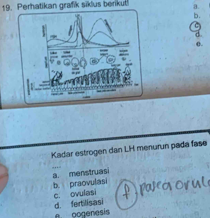 Perhatikan grafik siklus berikut!
a.
b.
C
d.
e.
Kadar estrogen dan LH menurun pada fase
a. menstruasi
b. praovulasi
c. ovulasi
d. fertilisasi
A oogenesis