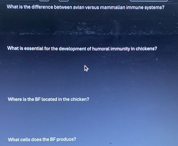 What is the difference between avian versus mammalian immune systems? 
What is essential for the development of humoral immunity in chickens? 
Where is the BF located in the chicken? 
What cells does the BF produce?