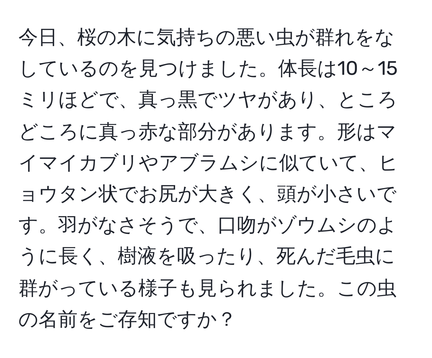 今日、桜の木に気持ちの悪い虫が群れをなしているのを見つけました。体長は10～15ミリほどで、真っ黒でツヤがあり、ところどころに真っ赤な部分があります。形はマイマイカブリやアブラムシに似ていて、ヒョウタン状でお尻が大きく、頭が小さいです。羽がなさそうで、口吻がゾウムシのように長く、樹液を吸ったり、死んだ毛虫に群がっている様子も見られました。この虫の名前をご存知ですか？