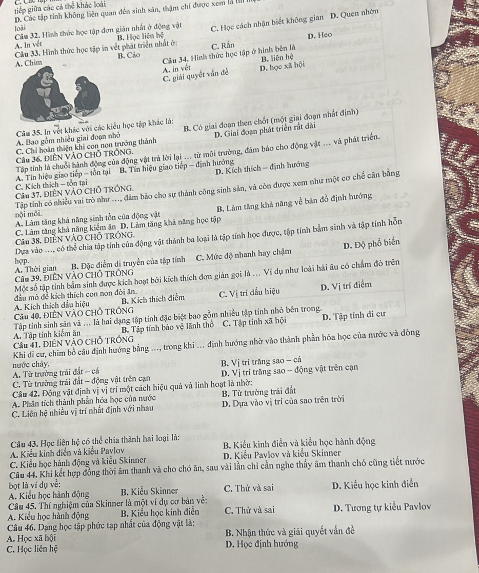 Các tộ
tiếp giữa các cá thể khác loài
D. Các tập tính không liên quan đến sinh sản, thậm chí được xem là III I
loài
A. In vết B. Học liên hệ C. Học cách nhận biết không gian D. Quen nhờn
Câu 32, Hình thức học tập đơn giản nhất ở động vật
D. Heo
Câu 33. Hình thức học tập in vết phát triển nhất ở: C. Rắn
Câu 34. Hình thức học tập ở hình bên là
A. Chim B. Cáo
C. giải quyết vấn đề D. học xã hội B. liên hệ
A. in vết
A. Bao gồm nhiều giai đoạn nhỏ B. Có giai đoạn then chốt (một giai đoạn nhất định)
Câu 35. In vết khác với các kiểu học tập khác là:
C. Chỉ hoàn thiện khi con non trưởng thành D. Giai đoạn phát triển rất dài
Tập tính là chuỗi hành động của động vật trả lời lại ... từ môi trường, đảm bảo cho động vật ... và phát triển.
Câu 36. ĐIÈN VÀO CHỗ TRÓNG.
D. Kích thích - định hướng
A. Tín hiệu giao tiếp - tồn tại B. Tín hiệu giao tiếp - định hướng
C. Kích thích - tồn tại
Tập tính có nhiều vai trò như ..., đảm bảo cho sự thành công sinh sản, và còn được xem như một cơ chế cân bằng
Câu 37. ĐIÈN VÀO CHỐ TRÓNG.
A. Làm tăng khả năng sinh tồn của động vật B. Làm tăng khả năng về bản đồ định hướng
nội môi.
C. Làm tăng khả năng kiểm ăn D. Làm tăng khả năng học tập
Dựa vào ..., có thể chia tập tính của động vật thành ba loại là tập tính học được, tập tính bẩm sinh và tập tính hỗn
Câu 38. ĐIÈN VÀO CHỗ TRÓNG.
A. Thời gian B. Đặc điểm di truyền của tập tính C. Mức độ nhanh hay chậm D. Độ phổ biến
hợp.
Một số tập tính bầm sinh được kích hoạt bởi kích thích đơn giản gọi là .. Ví dụ như loài hải âu có chẩm đỏ trên
Câu 39. ĐIÈN VÀO CHÖ TRÓNG
đầu mỏ để kích thích con non đòi ăn.
A. Kích thích dấu hiệu B. Kích thích điểm C. Vị trí dấu hiệu D. Vị trí điểm
Câu 40. ĐIÈN VÀO CHỗ TRÔNG
Tập tính sinh sản và ... là hai dạng tập tính đặc biệt bao gồm nhiều tập tính nhỏ bên trong.
A. Tập tính kiểm ăn B. Tập tính bảo vệ lãnh thổ C. Tập tính xã hội D. Tập tính di cư
Câu 41. ĐIÈN VÀO CHỐ TRÓNG
Khi di cư, chim bồ câu định hướng bằng ..., trong khi ... định hướng nhờ vào thành phần hóa học của nước và dòng
nước chảy.
A. Từ trường trái đất - cá B. Vị trí trăng sao - cá
C. Từ trường trái đất - động vật trên cạn  D. Vị trí trăng sao - động vật trên cạn
Câu 42. Động vật định vị vị trí một cách hiệu quả và linh hoạt là nhờ:
A. Phân tích thành phần hóa học của nước B. Từ trường trái đất
C. Liên hệ nhiều vị trí nhất định với nhau D. Dựa vào vị trí của sao trên trời
Câu 43. Học liên hệ có thể chia thành hai loại là:
A. Kiểu kinh điển và kiểu Paylov  B. Kiểu kinh điền và kiểu học hành động
C. Kiểu học hành động và kiểu Skinner  D. Kiểu Pavlov và kiểu Skinner
Câu 44. Khi kết hợp đồng thời âm thanh và cho chó ăn, sau vài lần chi cần nghe thấy âm thanh chó cũng tiết nước
bọt là ví dụ về:
A. Kiểu học hành động B. Kiểu Skinner C. Thử và sai D. Kiểu học kinh điễn
Câu 45. Thí nghiệm của Skinner là một ví dụ cơ bản về:
A. Kiểu học hành động B. Kiểu học kinh điễn C. Thử và sai D. Tương tự kiểu Pavlov
Câu 46. Dạng học tập phức tạp nhất của động vật là:
A. Học xã hội  B. Nhận thức và giải quyết vấn đề
C. Học liên hệ D. Học định hướng
