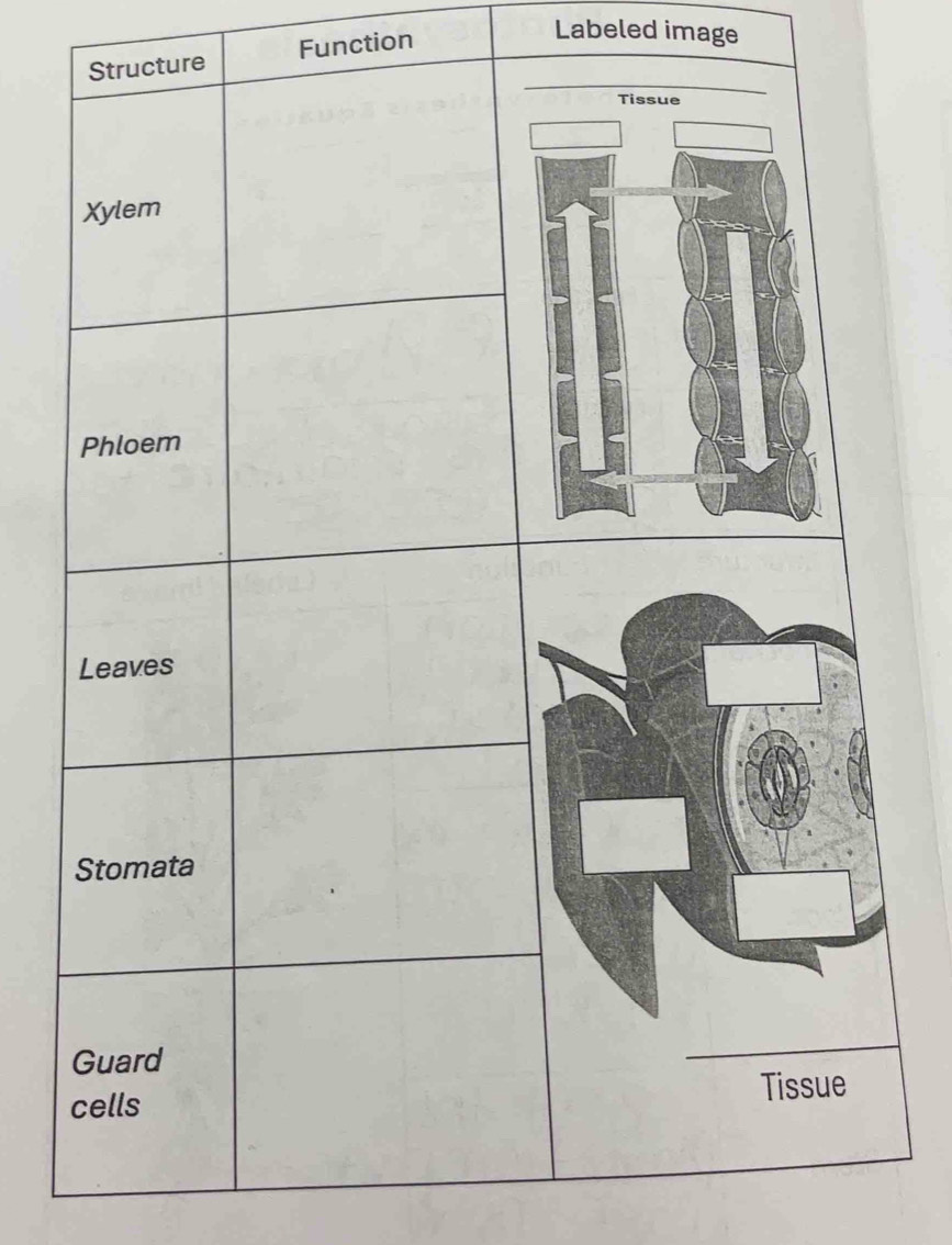 re Function 
Labeled image