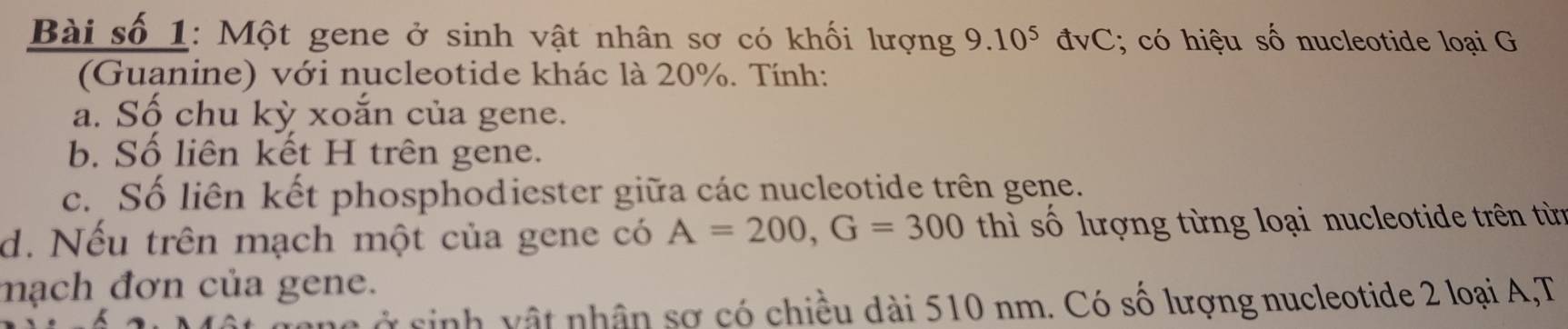 Bài số 1: Một gene ở sinh vật nhân sơ có khối lượng 9.10^5dvC; có hiệu số nucleotide loại G 
(Guanine) với nucleotide khác là 20%. Tính: 
a. Số chu kỳ xoắn của gene. 
b. Số liên kết H trên gene. 
c. Số liên kết phosphodiester giữa các nucleotide trên gene. 
d. Nếu trên mạch một của gene có A=200, G=300 thì số lượng từng loại nucleotide trên từn 
mạch đơn của gene. 
ở sinh v ậ t nhân sợ có chiều dài 510 nm. Có số lượng nucleotide 2 loại A,T