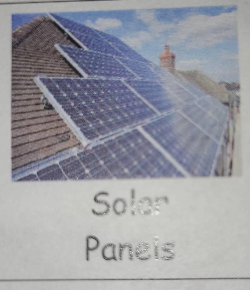 Solan 
Paneis