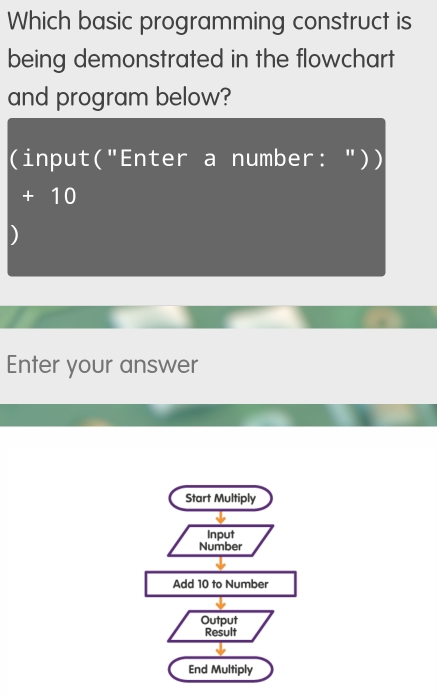 Which basic programming construct is 
being demonstrated in the flowchart 
and program below? 
(input("Enter a number: "))
+ 10
Enter your answer 
Start Multiply 
Input 
Number 
Add 10 to Number 
Output 
Result 
End Multiply