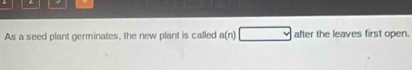 As a seed plant germinates, the new plant is called a(n) v after the leaves first open.
