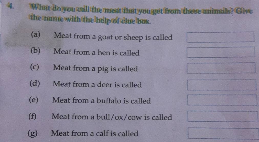 What do you call the meat that you get from these animals? Give
the name with the help of clue box.
(a) Meat from a goat or sheep is called
(b) Meat from a hen is called
(c) Meat from a pig is called
(d) Meat from a deer is called
(e) Meat from a buffalo is called
(f) Meat from a bull/ox/cow is called
(g) Meat from a calf is called